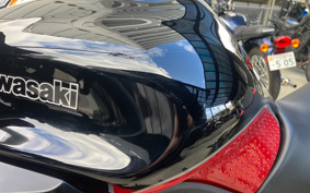 KAWASAKI NINJA 1000 SX 2024 ZXT02K