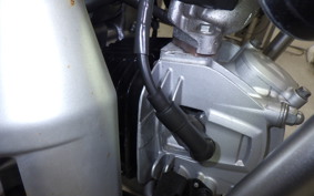 HONDA CT125 HUNTER CUB 2025 JA55