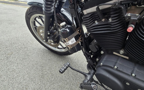 HARLEY XL883R 2006 CKM