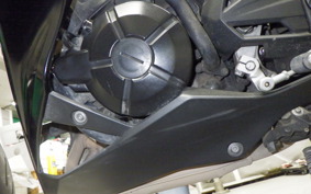 KAWASAKI Z250 ER250C