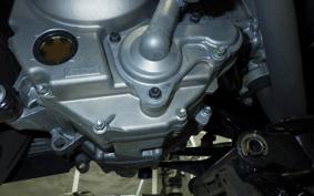 YAMAHA TRICITY 300 2021 SH15J