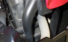 HONDA CRF250 RALLY 2026 MD44