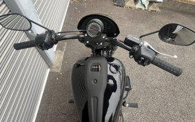 HARLEY FXLRS 2025 YWA
