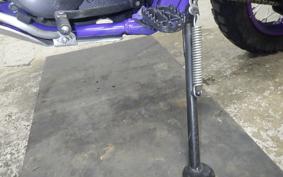 YAMAHA TT250R RAID 2009 4WA