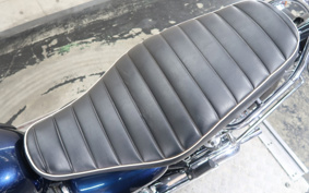 KAWASAKI W800 2021 EJ800B