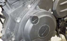 KAWASAKI Z250 Gen.2 2021 EX250P