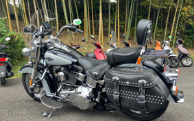 HARLEY FLSTC 2013 BW5