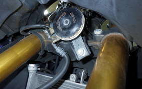 YAMAHA YZF-R25 2019 RG43J