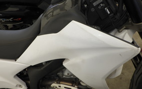 YAMAHA WR250X DG15J
