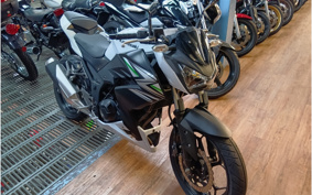 KAWASAKI Z250 ER250C