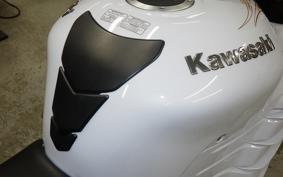 KAWASAKI ZX 1400 NINJA R A 2014