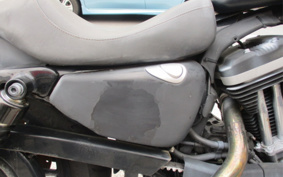 HARLEY XL883N 2010 LE2