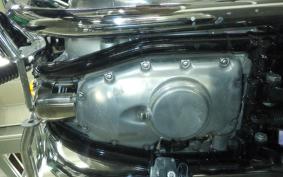 KAWASAKI W800 2020 EJ800B