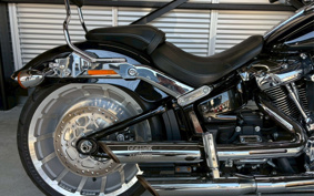 HARLEY FLFBS 2021 YGK