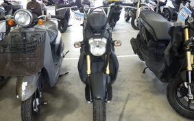 HONDA ZOOMER-X