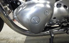 KAWASAKI W800 2022 EJ800E