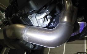 YAMAHA XSR900 GP 2024 RN96J
