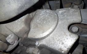 HONDA GIORCUB 2010 AF53