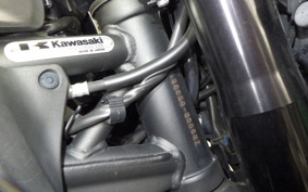 KAWASAKI Z900 Gen.2 2020 ZR900B