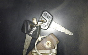 YAMAHA TZR250 R 1990 3XV