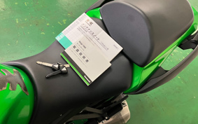 KAWASAKI NINJA 1000 ABS 2017 ZXT00W