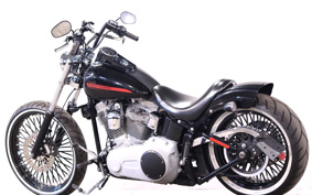 HARLEY FXST 2010 BV5