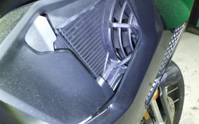 TRIUMPH TIGER 1200 RALLY 2024