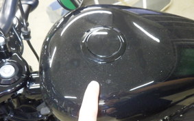 HARLEY XL1200X 2022