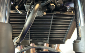HONDA CB400SFV-3 BOLDOR 2020 NC42
