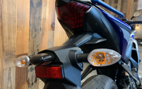 YAMAHA YZF-R25 RG10J