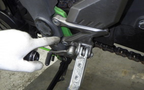 KAWASAKI NINJA 250 SL 2026