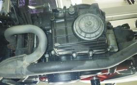 HONDA VTRF250 2024 MC33