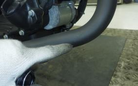 HONDA VTR 250 Gen. 2 MC33