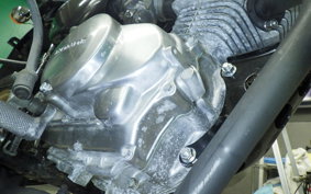 HONDA APE 100 2023 HC07