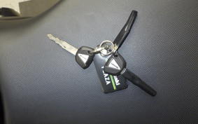 KAWASAKI NINJA 1000 SX 2021 ZXT02K