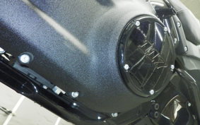 HARLEY FXLRS1920 2025