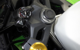 KAWASAKI ZX-4RR 2024 ZX400P