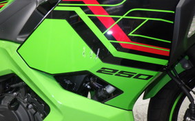 KAWASAKI NINJA 250 2 2001 EX250Y