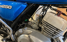 KAWASAKI KH250