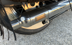 HARLEY HARLEY FLSTS1450 2010 BRL