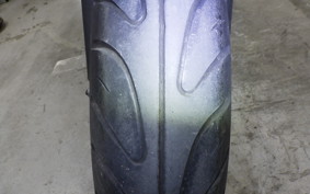 HONDA HORNET 250 2007 MC31