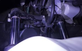 HONDA FORZA 250 2021 MF15