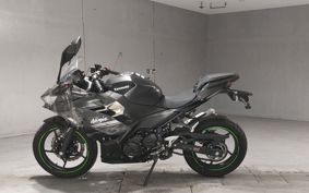 KAWASAKI NINJA 250 EX250P