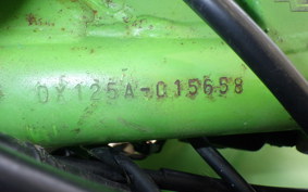 KAWASAKI KDX125 SR 2022 DX125A