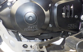 OTHER +UNREGISTERED MODEL by BDS250