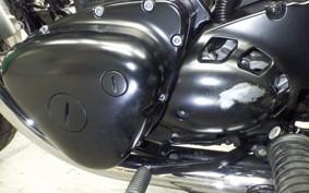 KAWASAKI W800 CAFE 2019 EJ800B