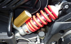APRILIA CAPONORD 1200 2015