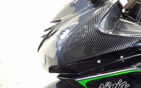 KAWASAKI NINJA ZX-14R 2013 ZXT40E