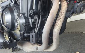 HONDA  REBEL 500 2019 PC60