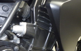 KAWASAKI Z250